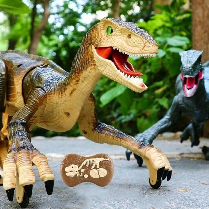 Remote Control Dinosaur - SHOP-STORY - Velociraptor - 50 Cm - Lights - Sounds