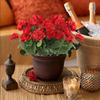 Artificial Flowers for Outdoors UV Resistant Garden Plants Bush Faux Flowers for Home Wedding Kitchen Table Centerpieces Decor AVE