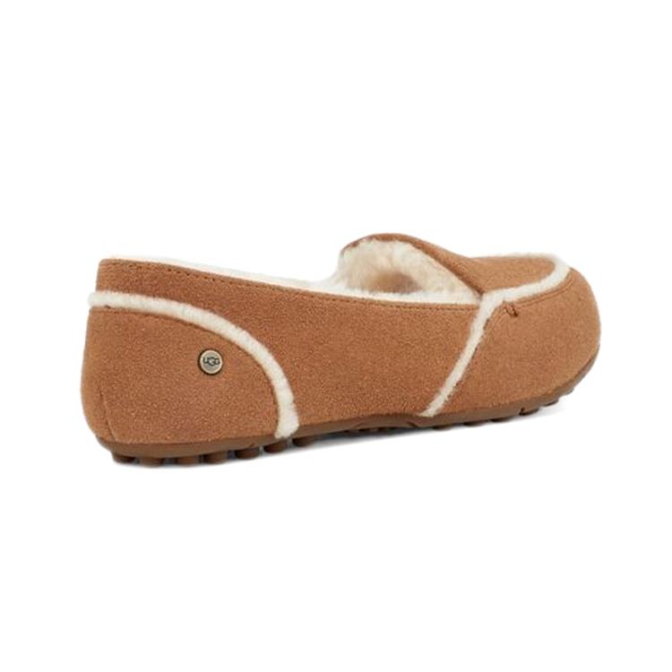 UGG Женские лоферы Hailey 'Каштановый' (унисекс) Женская повседневная обувь 1127441 CHE