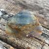 Natural Multicolor Fluorite Rough 512.50 Ct Uncut Huge Gemstone
