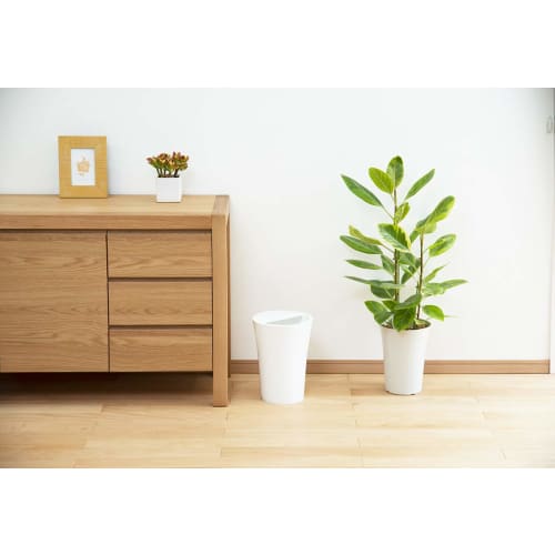 Shinki Gosei Tombow Unido Kakus Trash Can, Hides Trash, 7.3 Liters, White, 22cm Wide x 22cm Deep x 30cm High, with Lid, C-30, Made in Japan