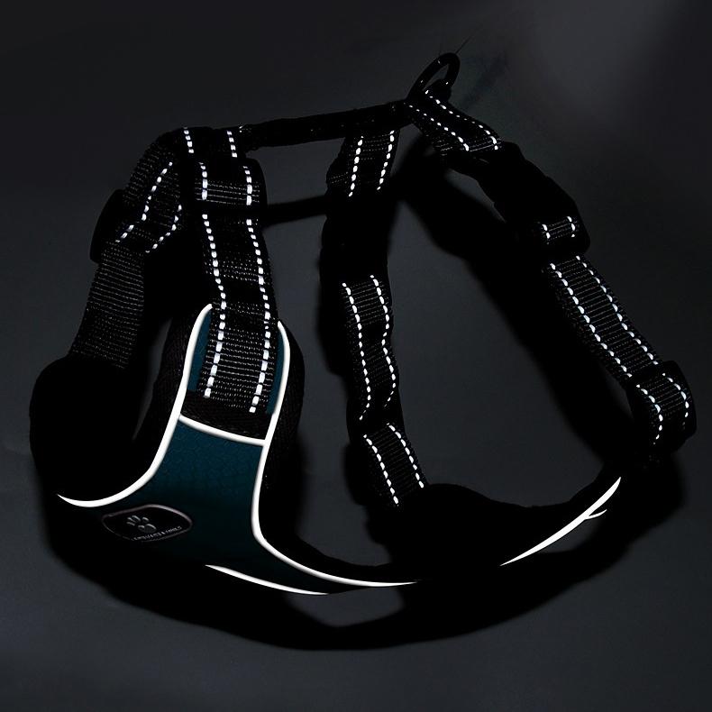 Astro Navy Blue Dog Training Harness For Walking, Size S