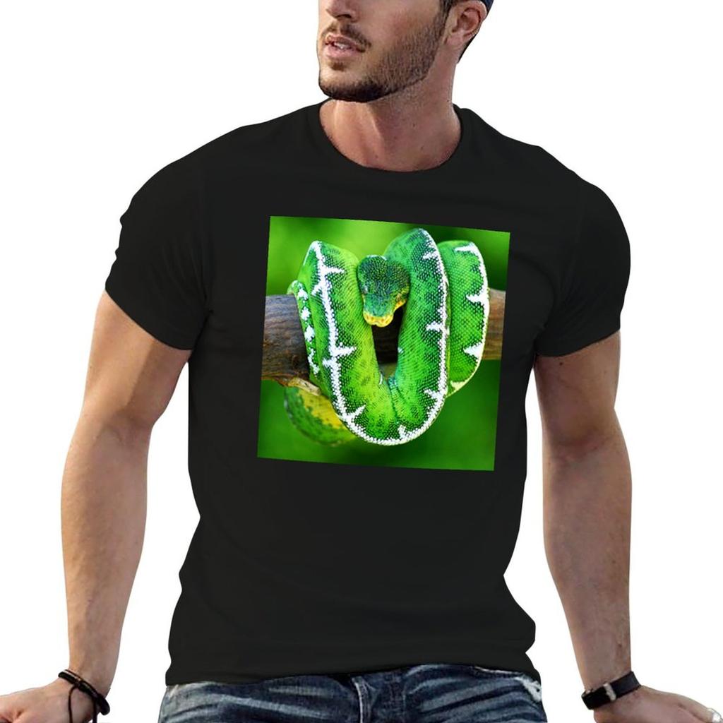 Emerald Tree Boa Tshirt T Shirts For Unisex Graphic Tees Anime Tshirt Cotton T Shirt Pack Tshirt