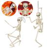 Plastic Hanging Outdoor Human Skeleton Scary Props Halloween Poseable Size