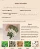 Mugwort Mosquito Repellent Sachet: Traditional Herbal Aroma Pouch, Hanfu Style Hanging Ornament for Car or Home.
