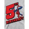 Spider-Man Childrens/Kids Heather Pull Over 5th Birthday Hoodie