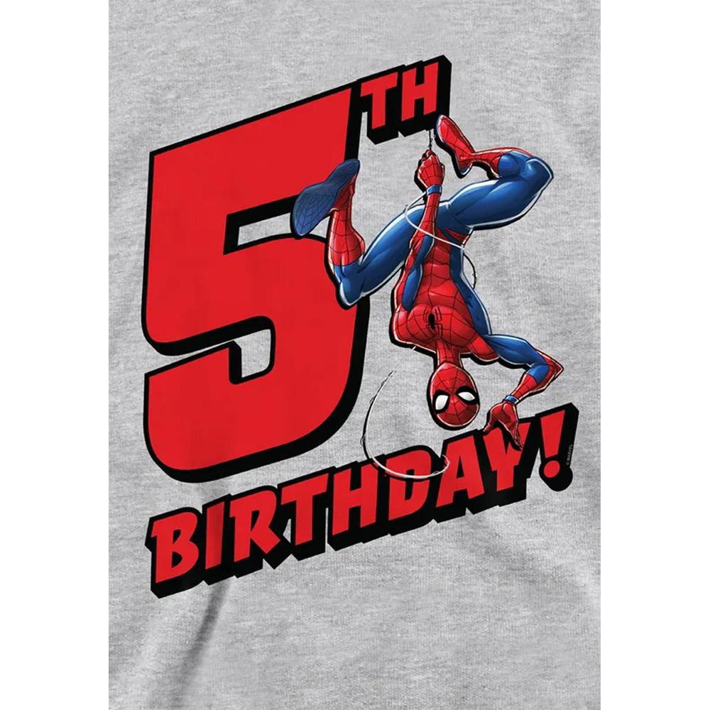 Spider-Man Childrens/Kids Heather Pull Over 5th Birthday Hoodie