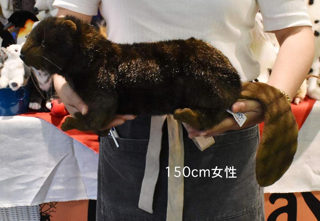 Мягкая игрушка HANSA Animal Beaver No.4274