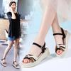 2024 Summer Women's Sandals, Fashionable Wedge Heels Women's High Heels, Korean Version of New Women's Shoes