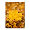 Autumn Decoration Canvas Poster Yellow Leaves Fall View Wall Art Print Pumpkin  Halloween Picture Living Room Home Decor