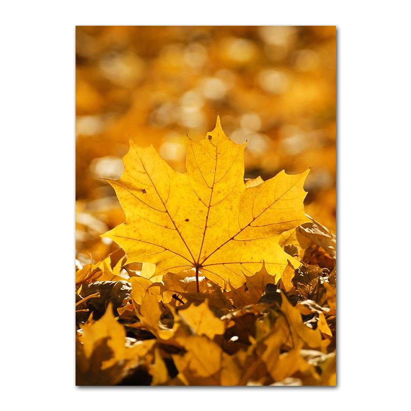 Autumn Decoration Canvas Poster Yellow Leaves Fall View Wall Art Print Pumpkin Halloween Picture Living Room Home Decor