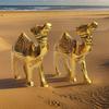Элегантность в металлическом наборе Camel Showpiece Set - Изысканный декор для дома с ноткой пустынной элегантности, набор из 2 предметов