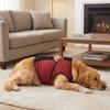 Breathable Dog Calming Vest Adjustable Pet Anti-Frightening Vest Dog Anxiety Jacket  Vet Visits