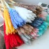 Small Reed Pampas Grass Dried Flower Special Offer Small Reed Dried Flower Bouquet Decoration Wedding Arrangement