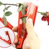 Инструмент для самостоятельной резки Florist Metal Gardon Flower Rose Thorn Stem Leaf Striper Rose Push Removal Burrs Garden Tool