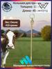 Livestock Tether Chain