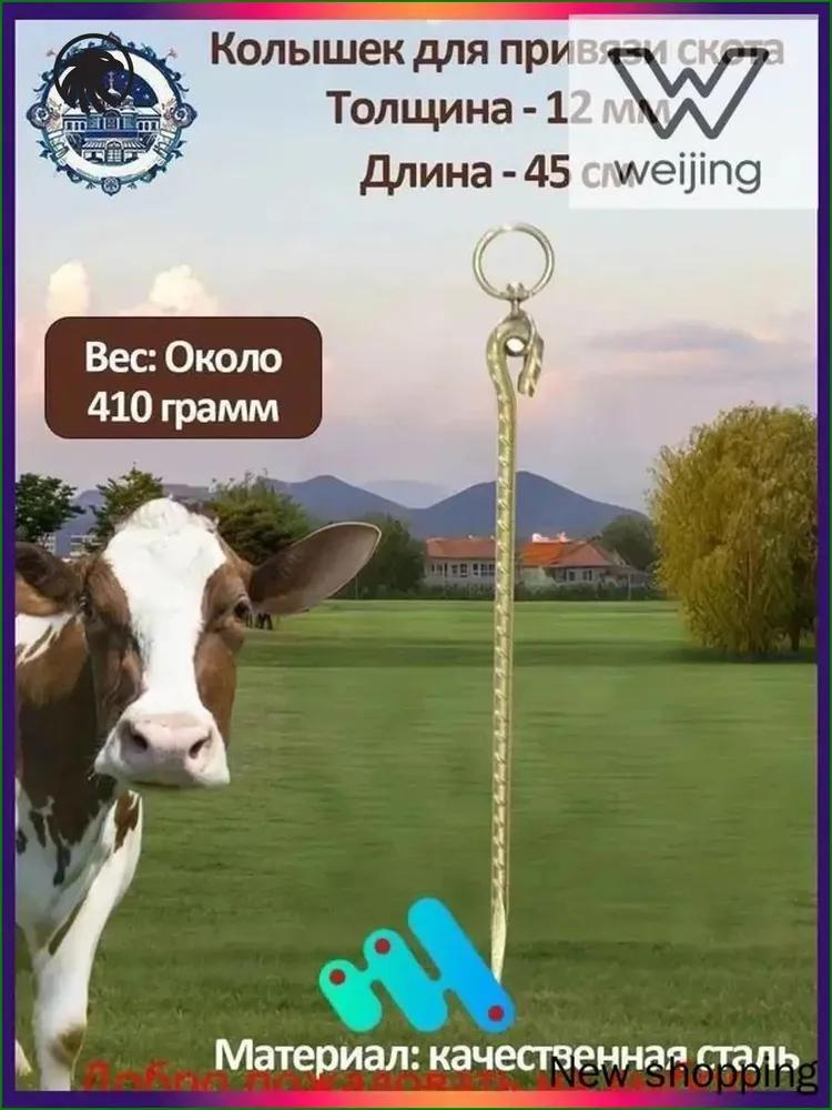 Livestock Tether Chain
