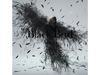 [CD+DVD] Black Bird/ Tiny Dancers First Limited Edition Aimer SECL-2330 J-Pop
