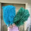10PCS Natural Blue Ostrich Feathers Bulk 15-60CM for Carnival Wedding Party Restaurant Centerpiece Decoration Plumes DIY Crafts