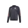 Adidas Sweatshirts Men's Gray Crew Neck Moderate Regular FR3989