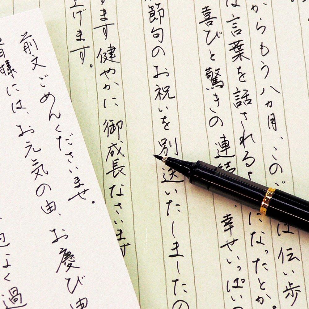 Kuretake Ручка-кисть Письменная ручка Макиэ Моногатари Плакучая сакура Черный корпус ER186-610