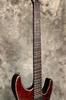 Schecter Electric Guitar HELLRAISER FR BCH C-1