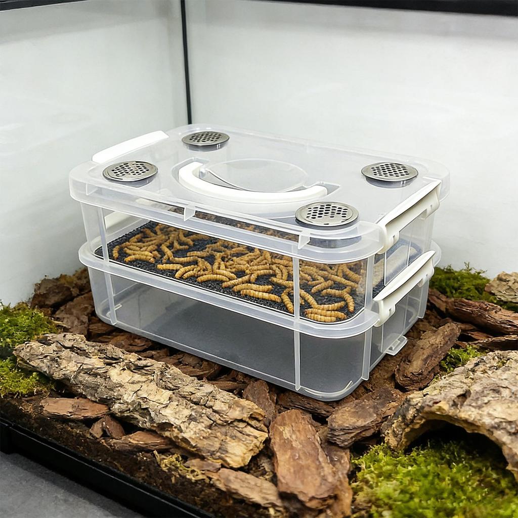 Mealworm rearing box, silkworm rearing box, double-mesh filter and ventilation rearing box, feces separation box, transparent