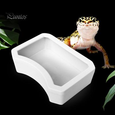 Миска для воды для рептилий, пластиковая пищевая коробка для воды, кормушка для рептилий, посуда для воды, украшение для аквариума для домашних животных