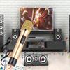 1-to-2 Portable UHF Handheld Wireless Mic Microphone with Mini Bluetooth Receiver Gold