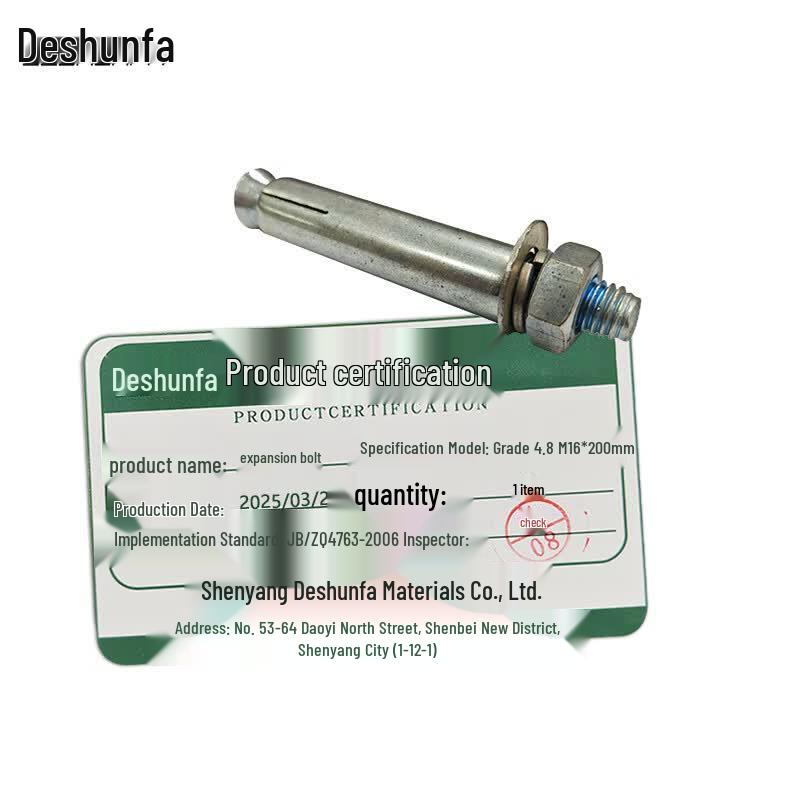 Deshunfa M16*200mm Grade 4.8 Stainless Steel Expansion Bolts (100-pack)