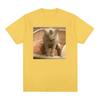 Футболки с надписью «Kitty Cat Take A Poop Kitten Joke», мужские и женские забавные футболки с короткими рукавами и мемами, летняя модная повседневная хлопковая футболка, топы