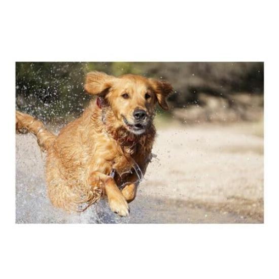 Sony Телеобъектив с зумом E OSS для камер Sony 55-210 мм F4.5-6.3 E-Mount APS-C (SEL55210)