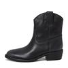 Ash Gipsy Bis Mid-Heel Ankle Boots Af4D01713