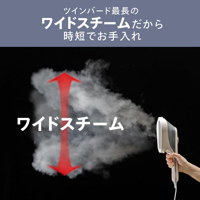 Twin Bird Clothes Handy Iron Hair Clothes Brush Ivory Steamer, & Steamer, Dezodoring, Desinfating, Brush, В комплекте, SA-4097VO