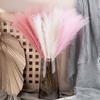 10PCS/Set DIY Boho Decor Flower Home Decor Fake Plant Reed Fluffy Pampas Grass  Wedding Party