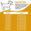 Strong Metal Dog Chain Collars Stainless Steel Pet Training Choke Collar For Large Dogs Pitbull Bulldog Silver Gold Show Collar