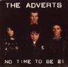 7inch Record ADVERTS - No Time To Be 21 BR1PROMO BRIGHT 1978 UK Rock Used