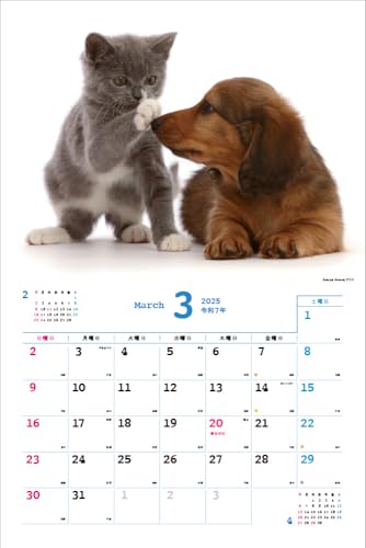 Календарь Накаёши Собаки/Ньян на 2025 год Каждый день – время отдыха > ([Календарь])