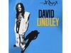 [SHM-CD] El Rayo-X Ограниченное издание David Lindley WPCR-17746 Рок-гитара НОВЫЙ