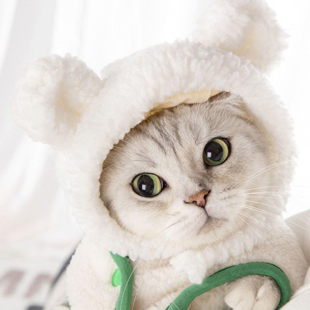 Cute Cosplay Costume Pet Accessories Cat Hat Headgear Short Plush Bear Puppy Cap