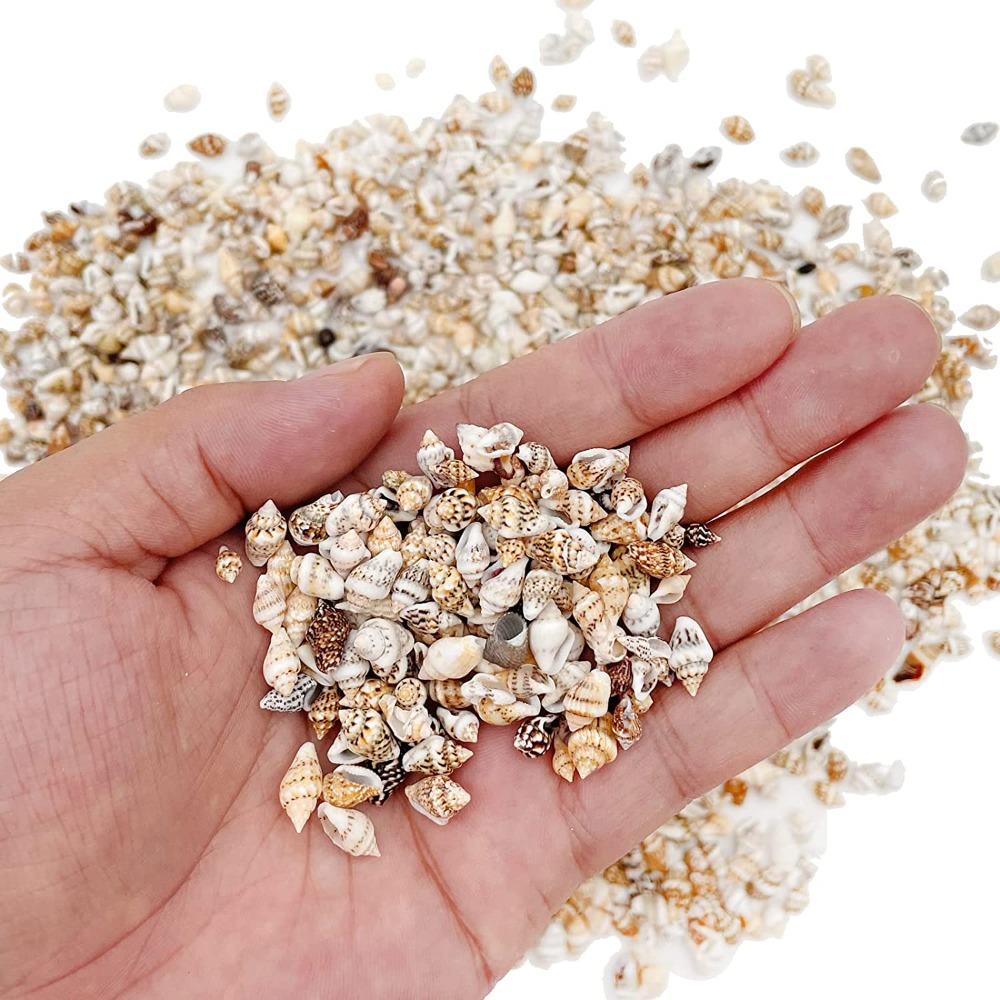 1500 шт. спиральных ракушек, морские ракушки, 1500 шт. подвесок-шармов из смешанных ракушек, пляжная тематическая вечеринка