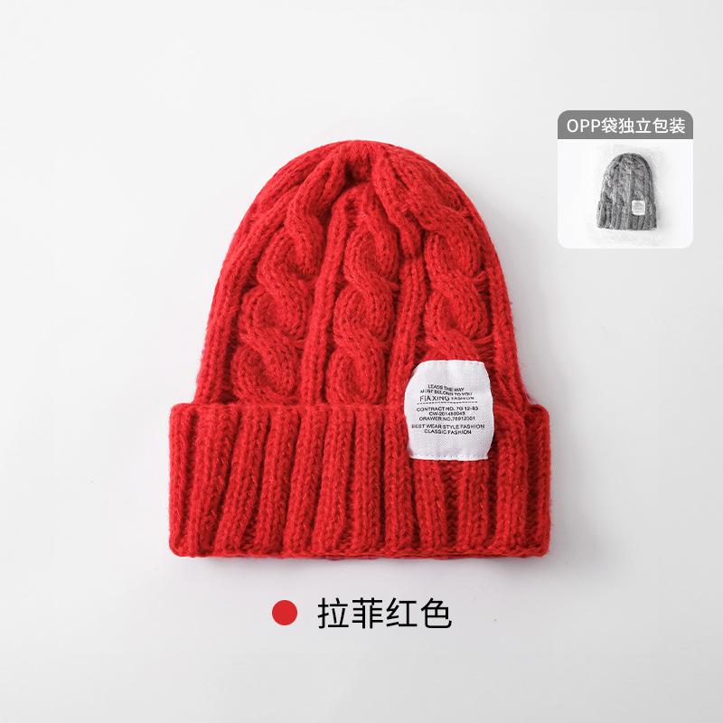 Solid color twist wool hat female autumn and winter student warm ear protection knitted hat couple versatile cold hat