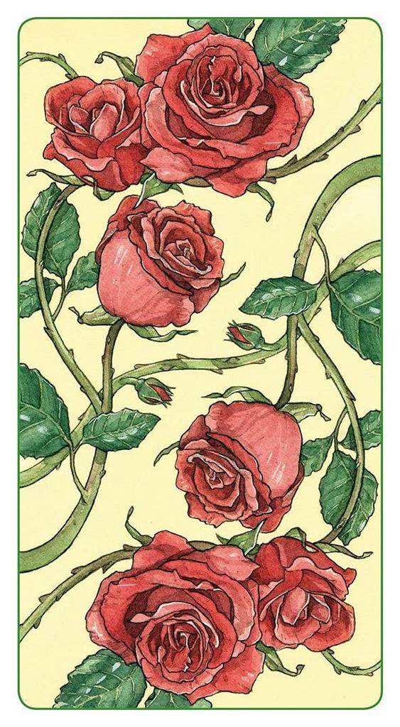 Kancharo Tarot Cards 78 Pieces Tarot Fortune Telling Japanese Tarot Card Basic Instructions Pouch Included [Romantic Tarot] & (Genuine Product)