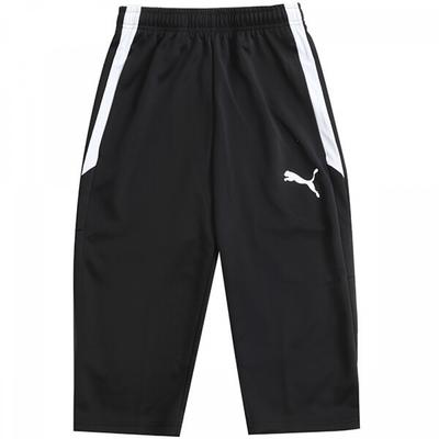 Puma Тренировочные брюки Team Liga 3 4