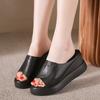 Wedge Heel Slippers Women's Outer Wear 2024 Summer New European and American Style Fish Mouth Thick Bottom One-word Drag Muffin and Sandals
