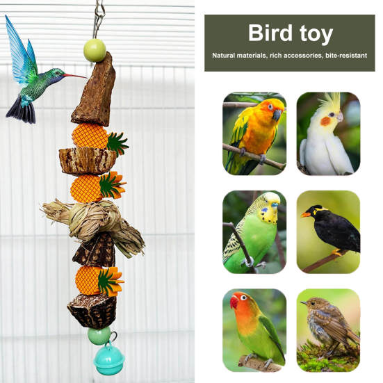Hanging Bite Resistant Scratch-proof Anti-fade Anti-broken with Bell Star Fruit Pineapple Parrot Toy