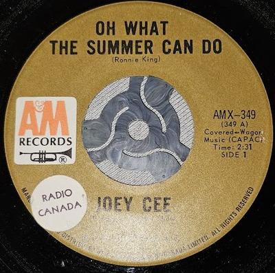 7-дюймовая пластинка JOEY CEE - Oh What The Summer Can Do AMX349 A&M 1973 Канада Рок Б/у
