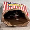 Деревянная игрушка для кошек Бумажный пакет для попкорна Тоннель для пряток с когтеточкой Прочный гофрокартон для домашних кошек