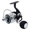 DAIWA Spinning Reel 19 REGZA LT5000D-CXH (2019 Model)