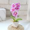 Моделирование фаленопсис бонсай украшения искусственный цветочный горшок сад домашний декор